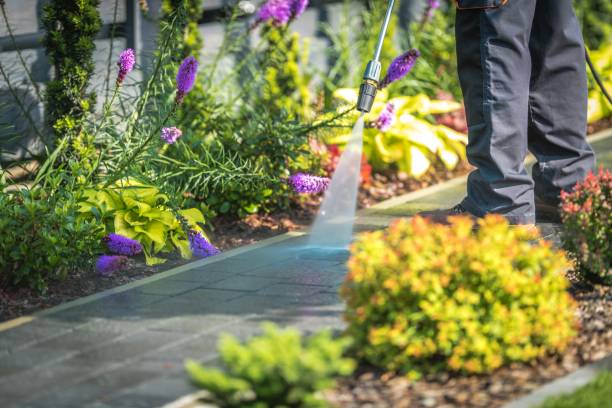 Best Parking Lot and Garage Cleaning  in Montecito, CA